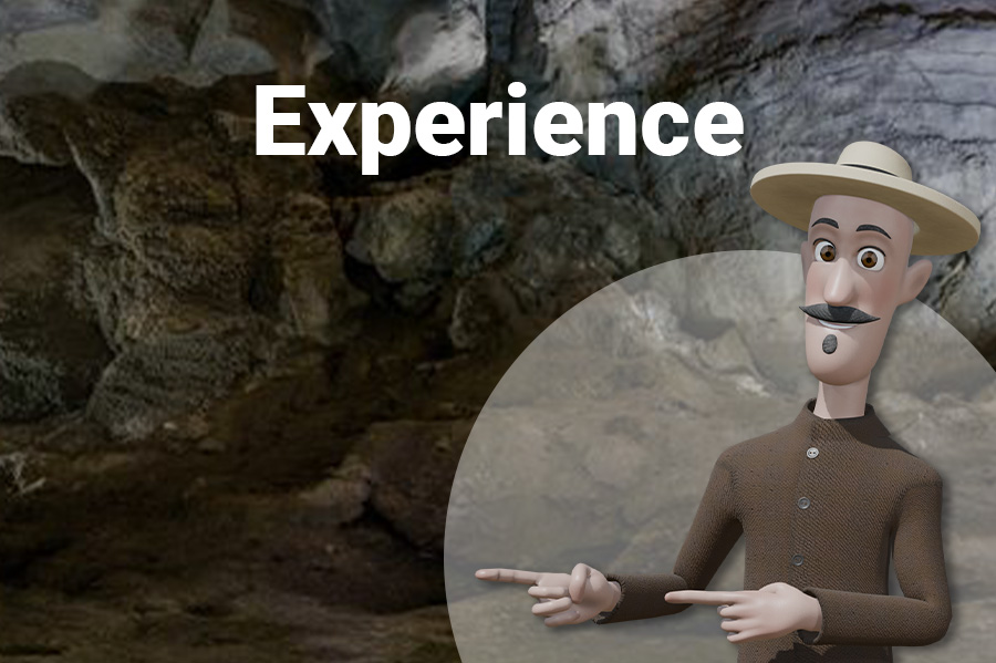 header-experience-mobile-txt